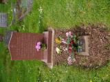 image number 7